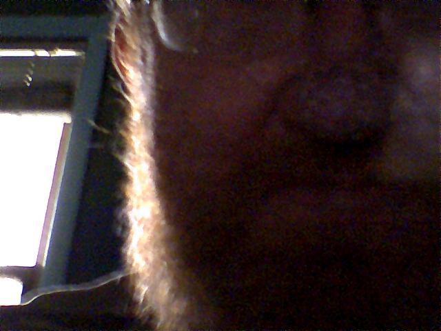 Date this passionate United States man Driven7 from Union Grove US1759