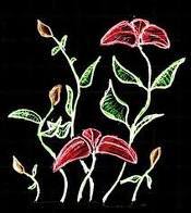 Date this gorgeous United States girl Grace from New York City US6994