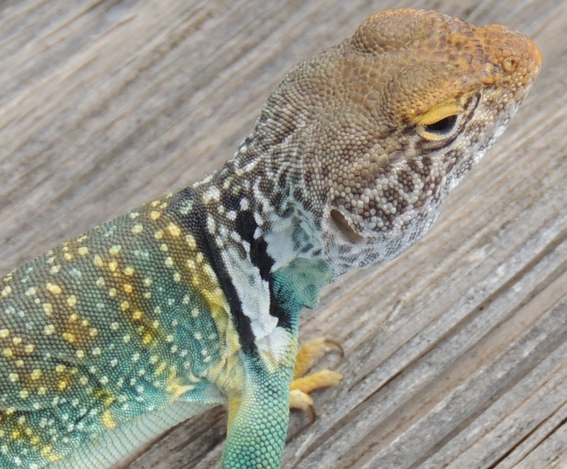 Date this good-looking United States man Sphinx368 from Tampa US12026