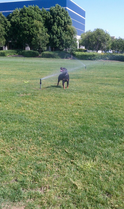 Date this stunning United States man Most from Los Angeles US12798