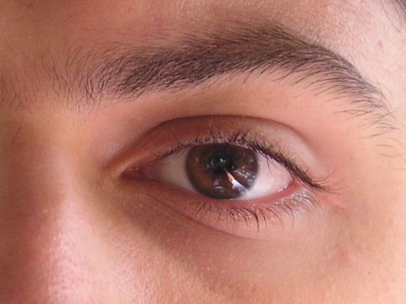 Date this fun United States man Eduardo81 from New York US15000