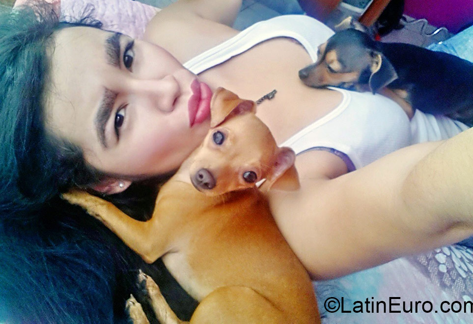 Date this tall Colombia girl Stefania from Medellin CO17560